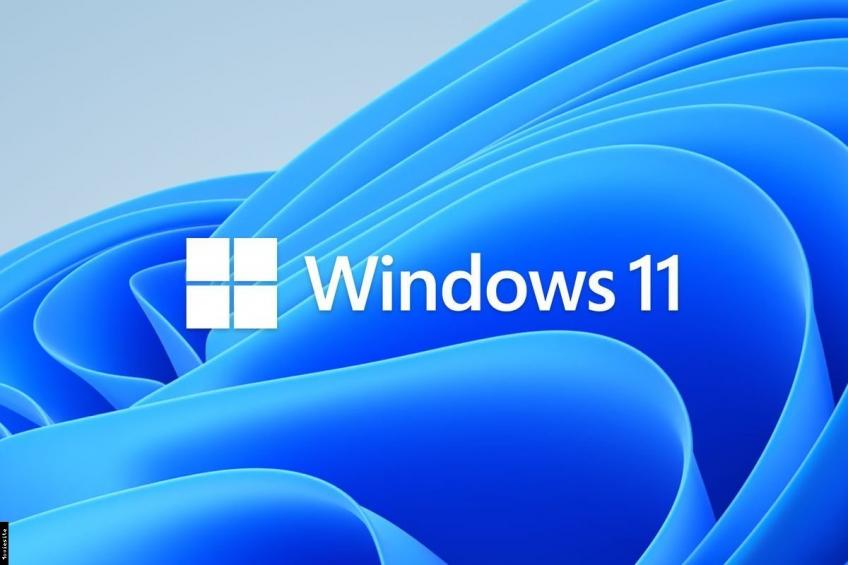 Microsoft Windows 11 Business Editions v23H2 HUN x64