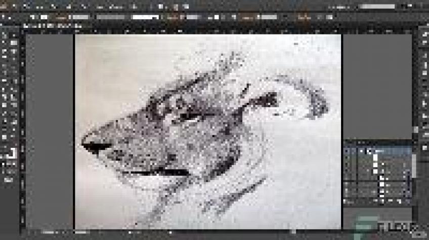 illustrator 2022 torrent illustrator 2022 torrent