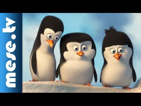 A Madagaszkár pingvinjei